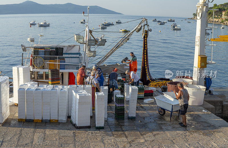 清晨，渔民们在Moscenicka Draga港整理捕获的鱼。